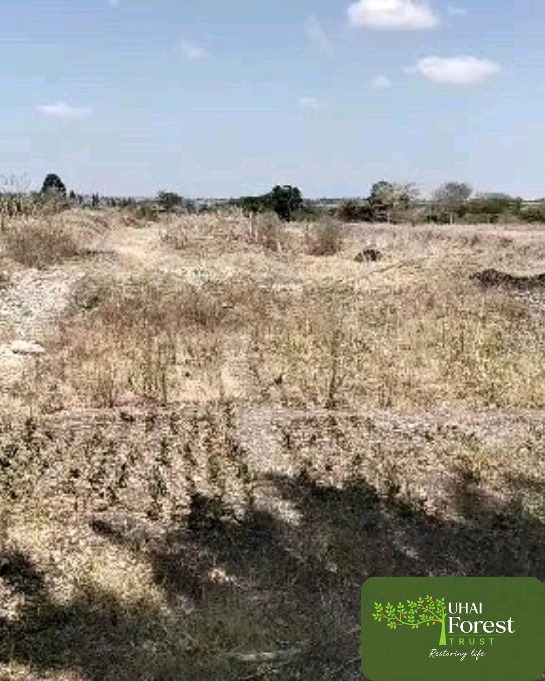 Wide view of the site during the dry season