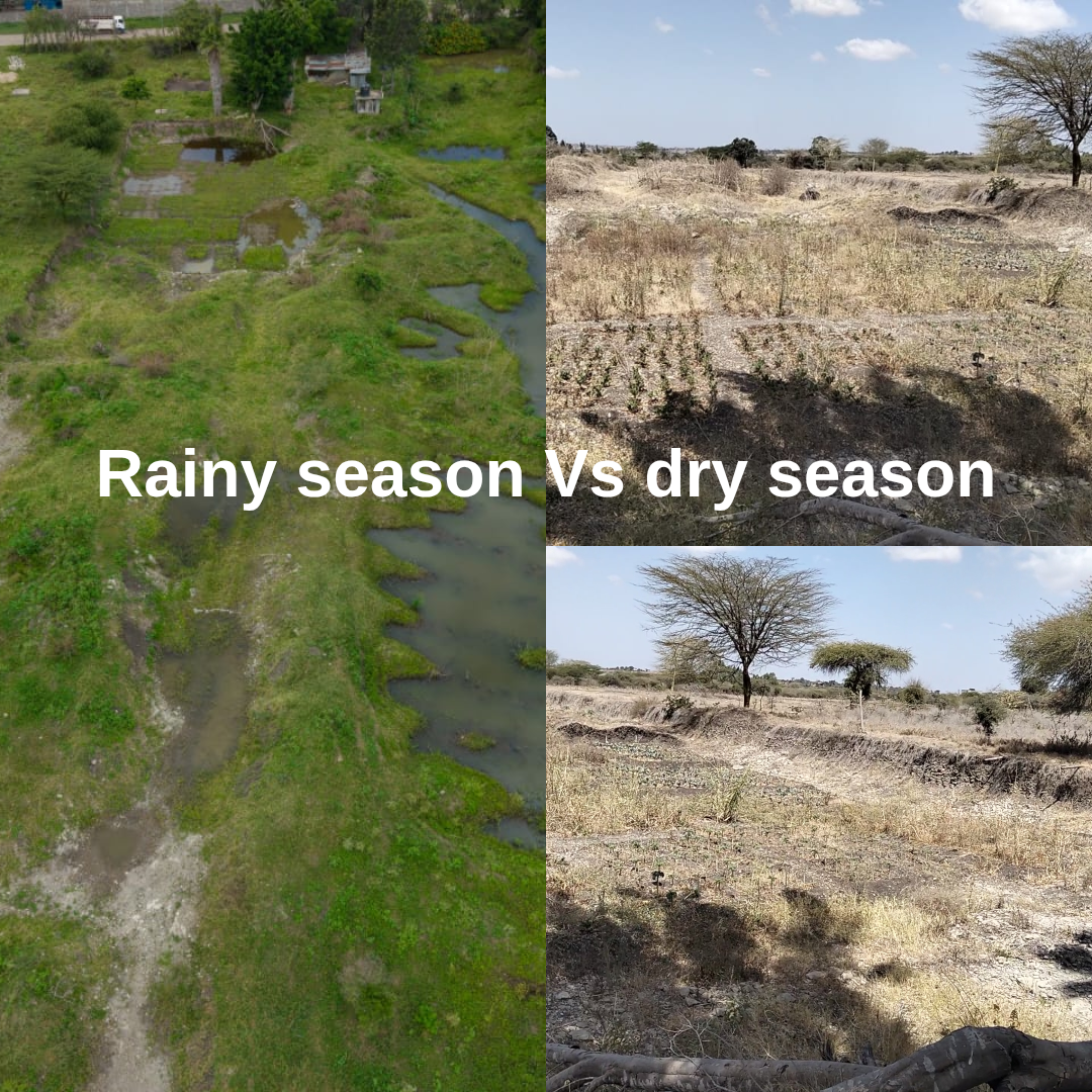 Rainy season flooding across the degraded land