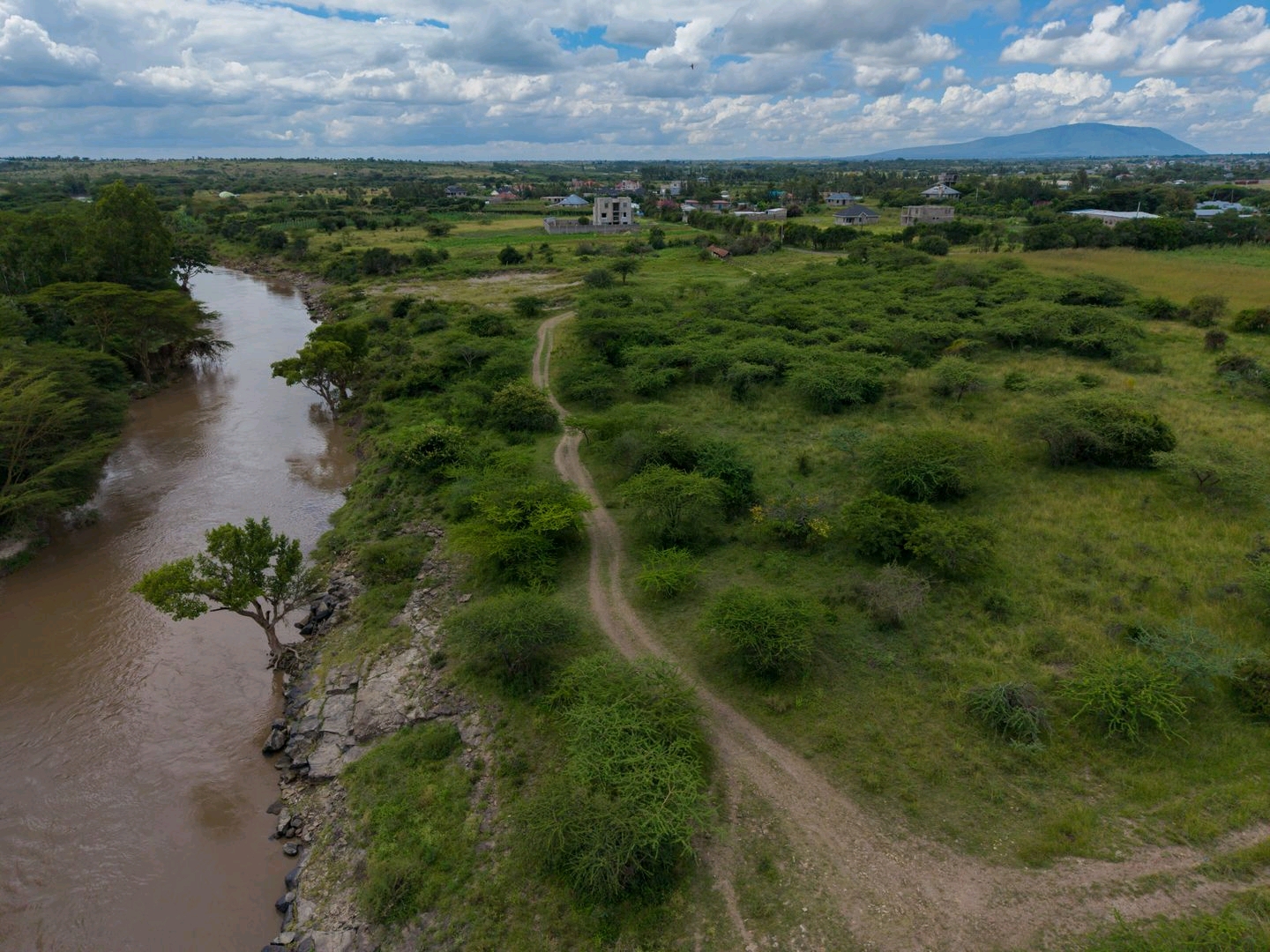The river running alongside the site, future home of the bamboo corridor